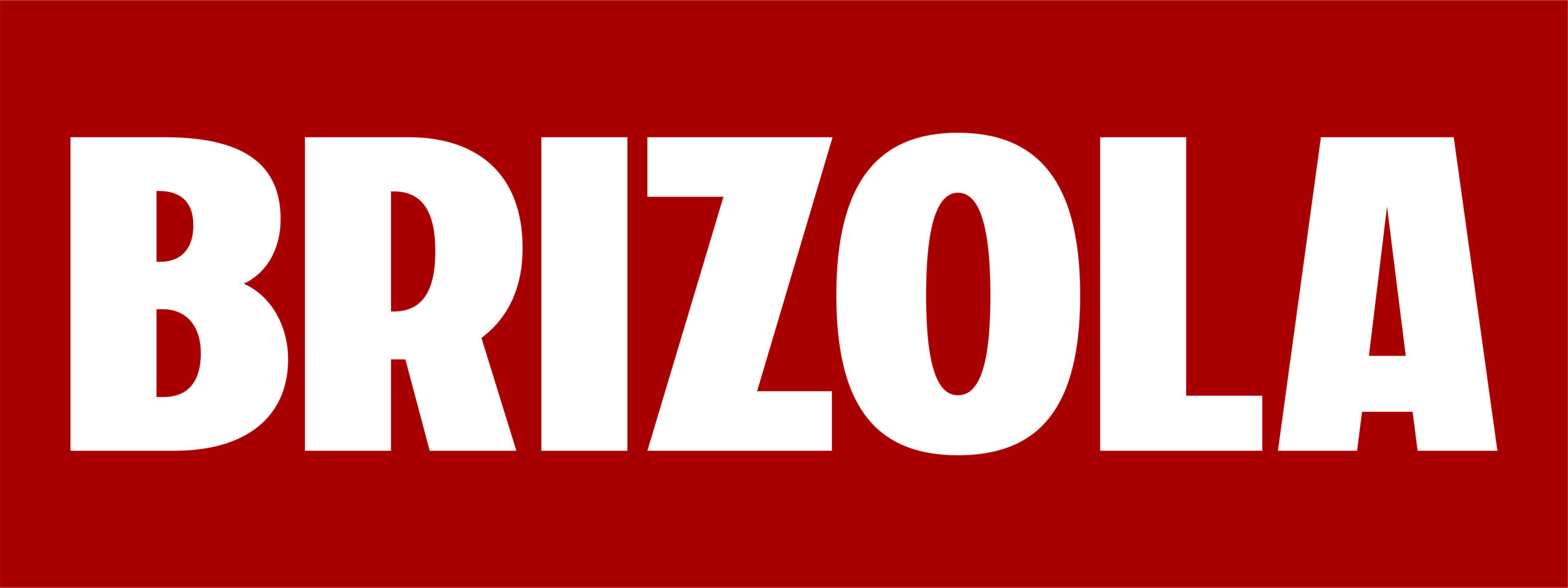 Placa BRIZOLA